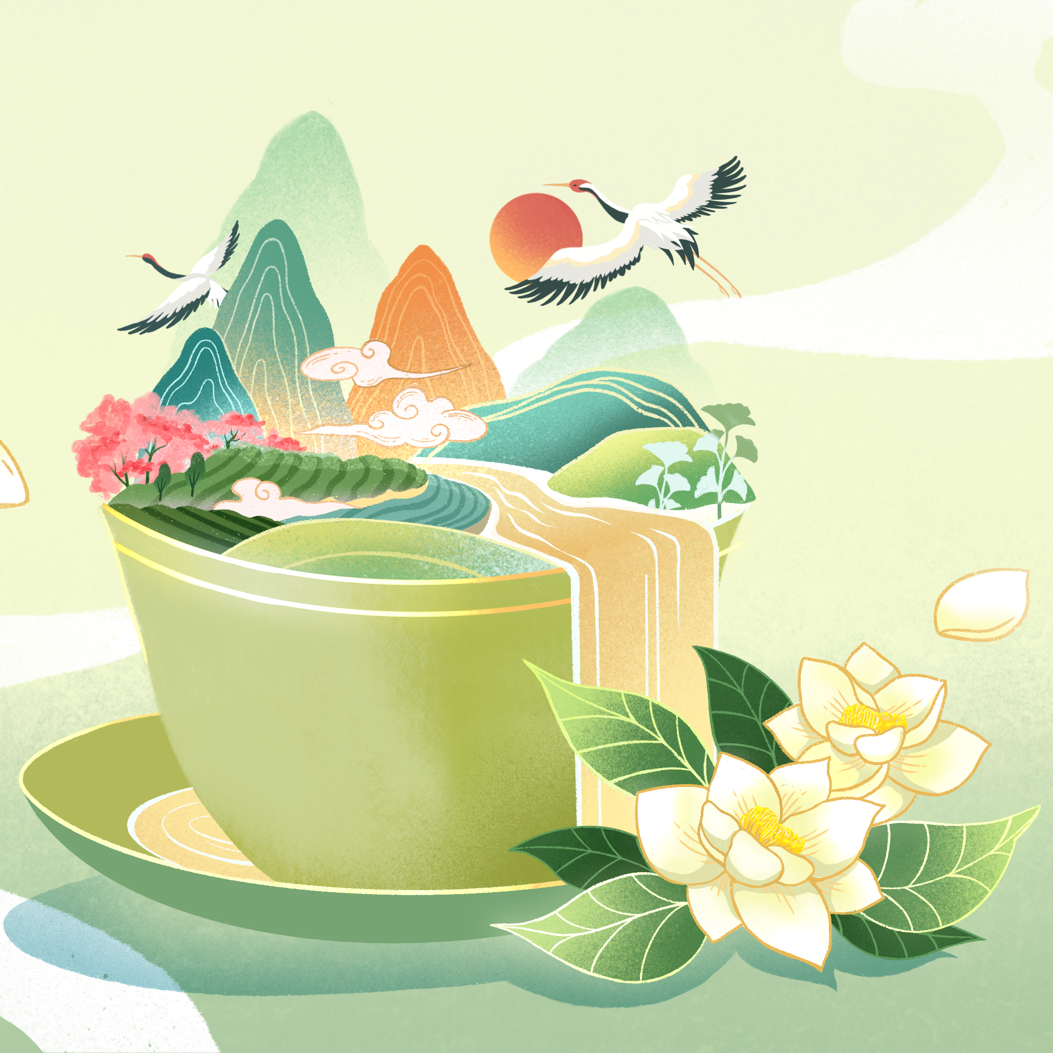 Pomelo Oolong Eau de Parfum 50ml