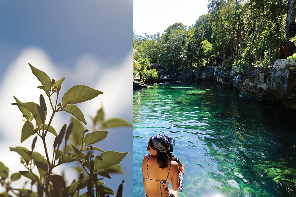 07 SOLSEKIA smaržūdens