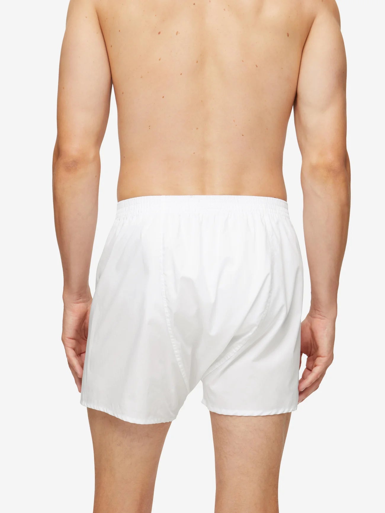Vīriešu klasiskās formas bokseri Savoy Cotton White