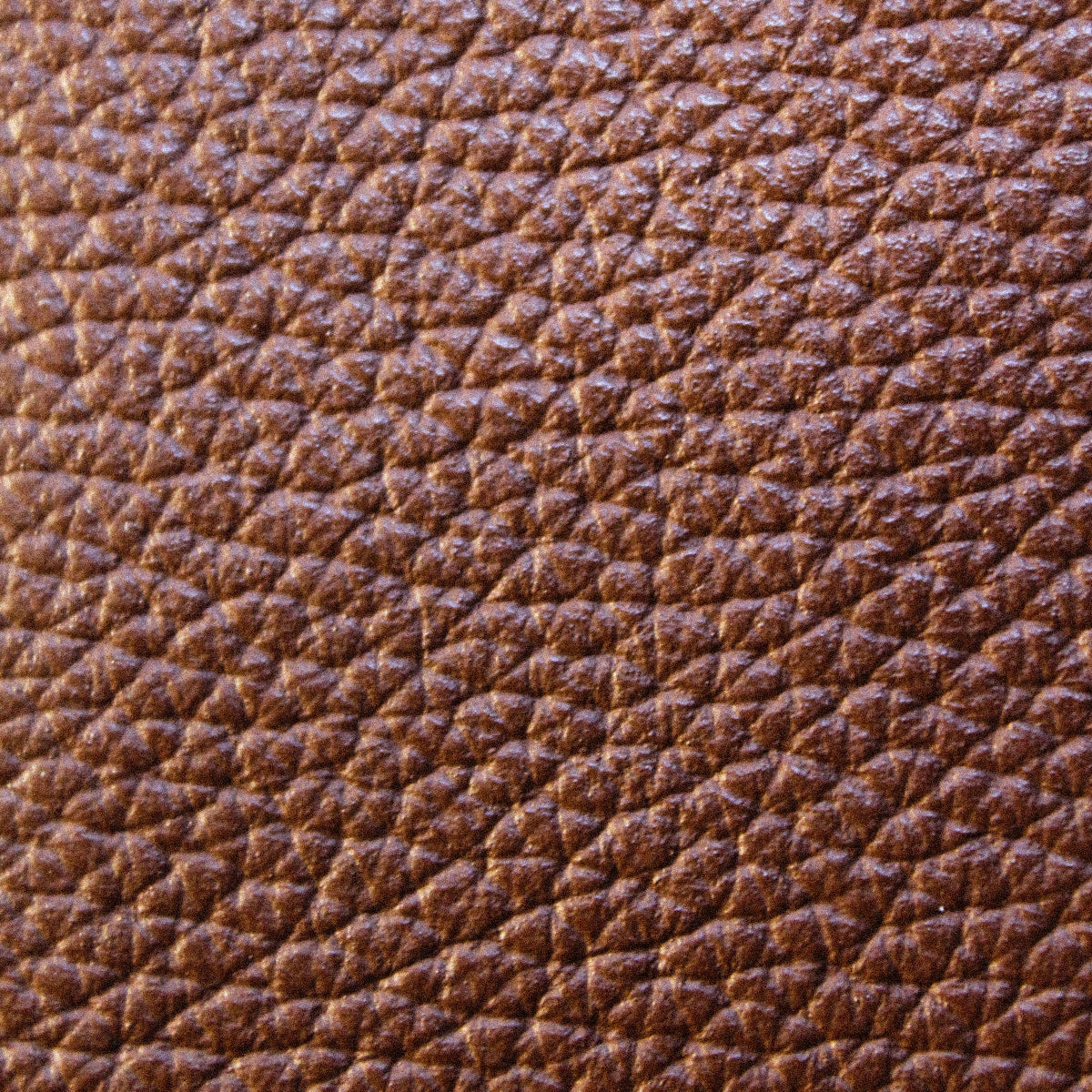 "LEATHER" - LEATHER FRAGRANCES - Discovery Set 5 x 2ml